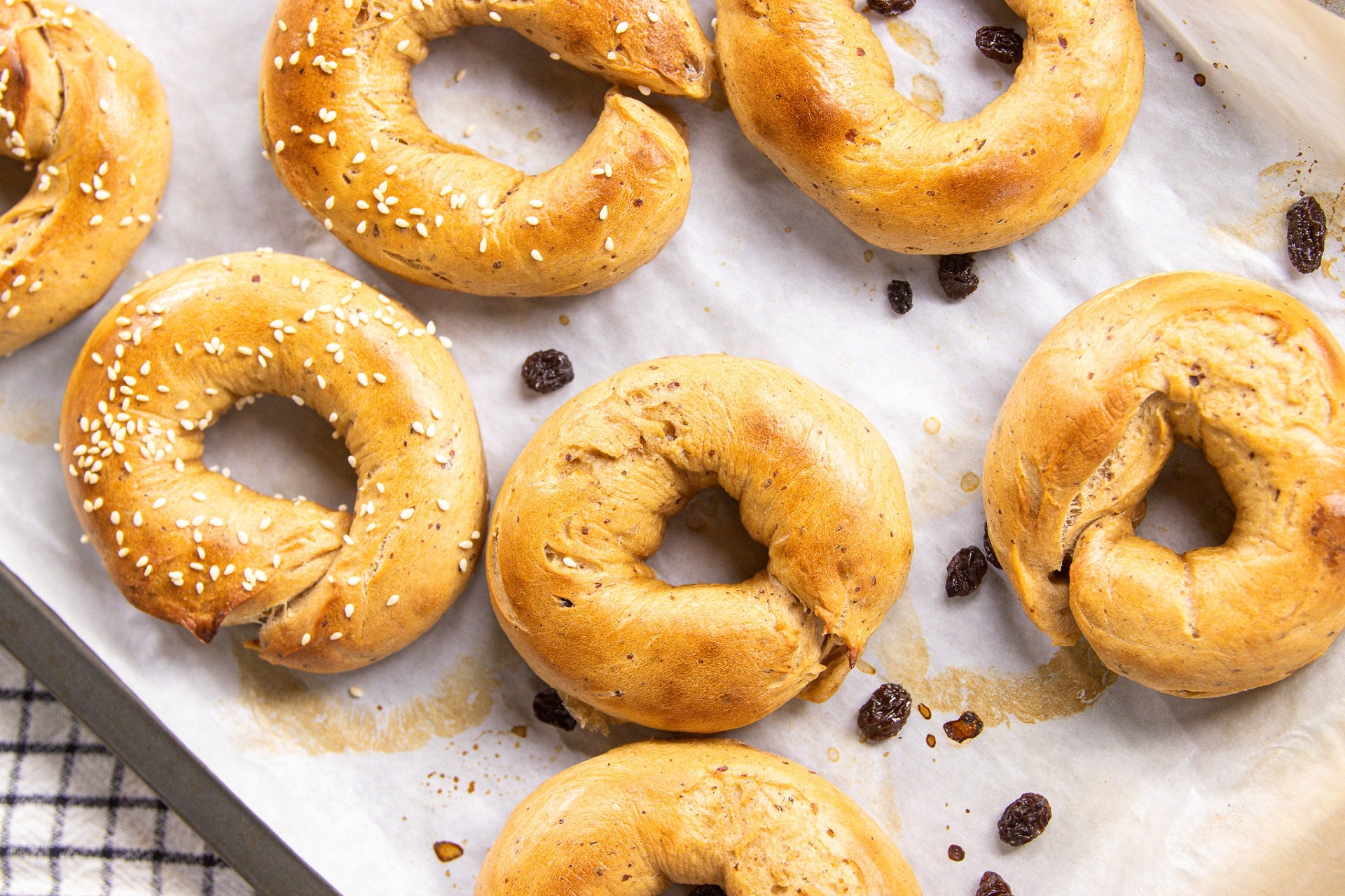 Raisin and Cinnamon Bagel